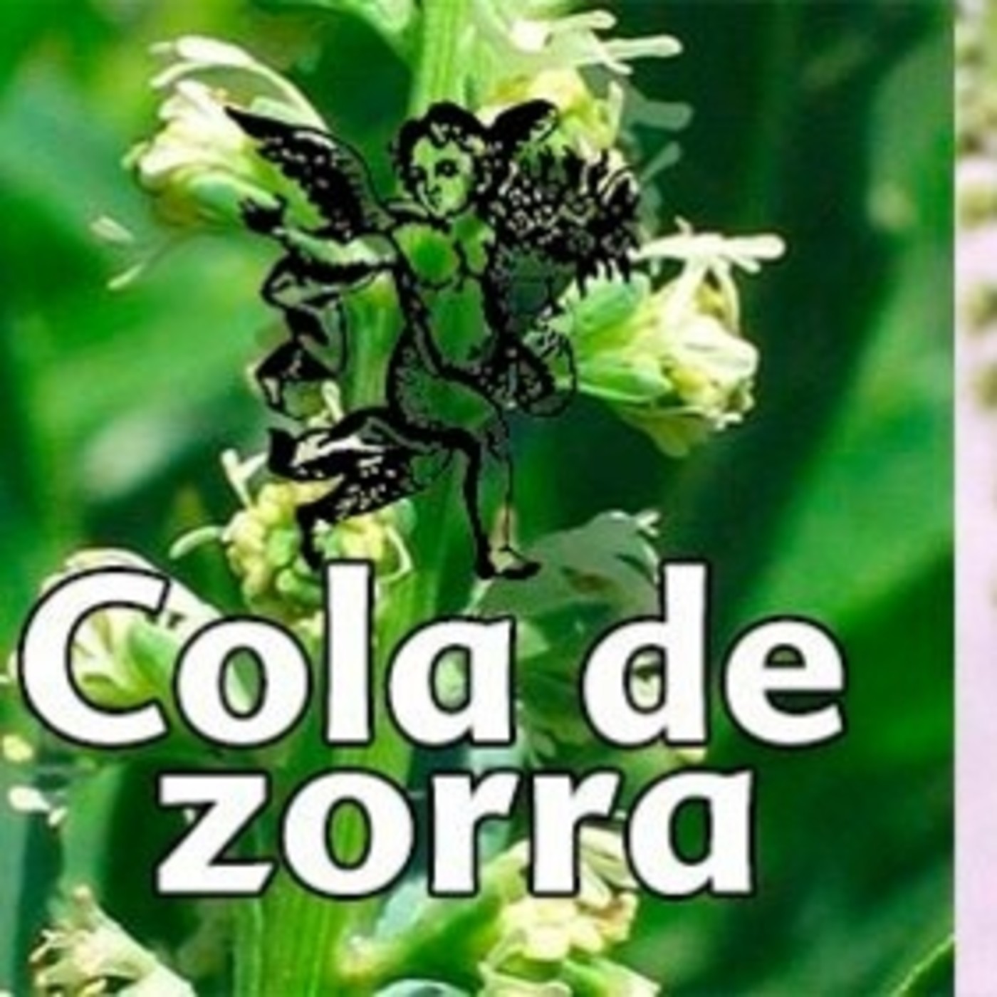 El Ángel de tu Salud - COLA DE ZORRA III episode artwork
