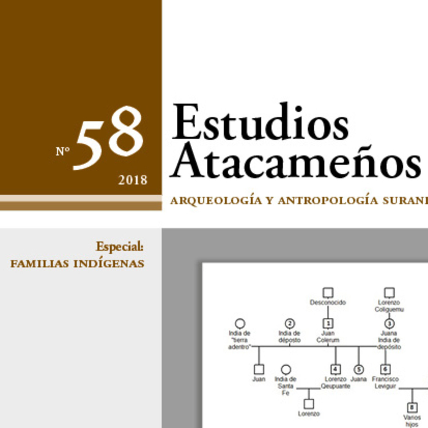 Estudios Atacameños