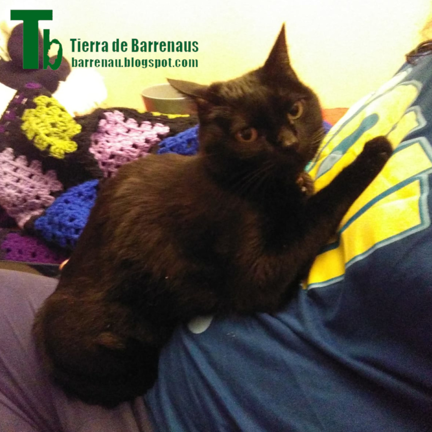 Tierra de varrenadas