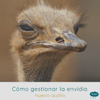Cómo gestionar la envidia
