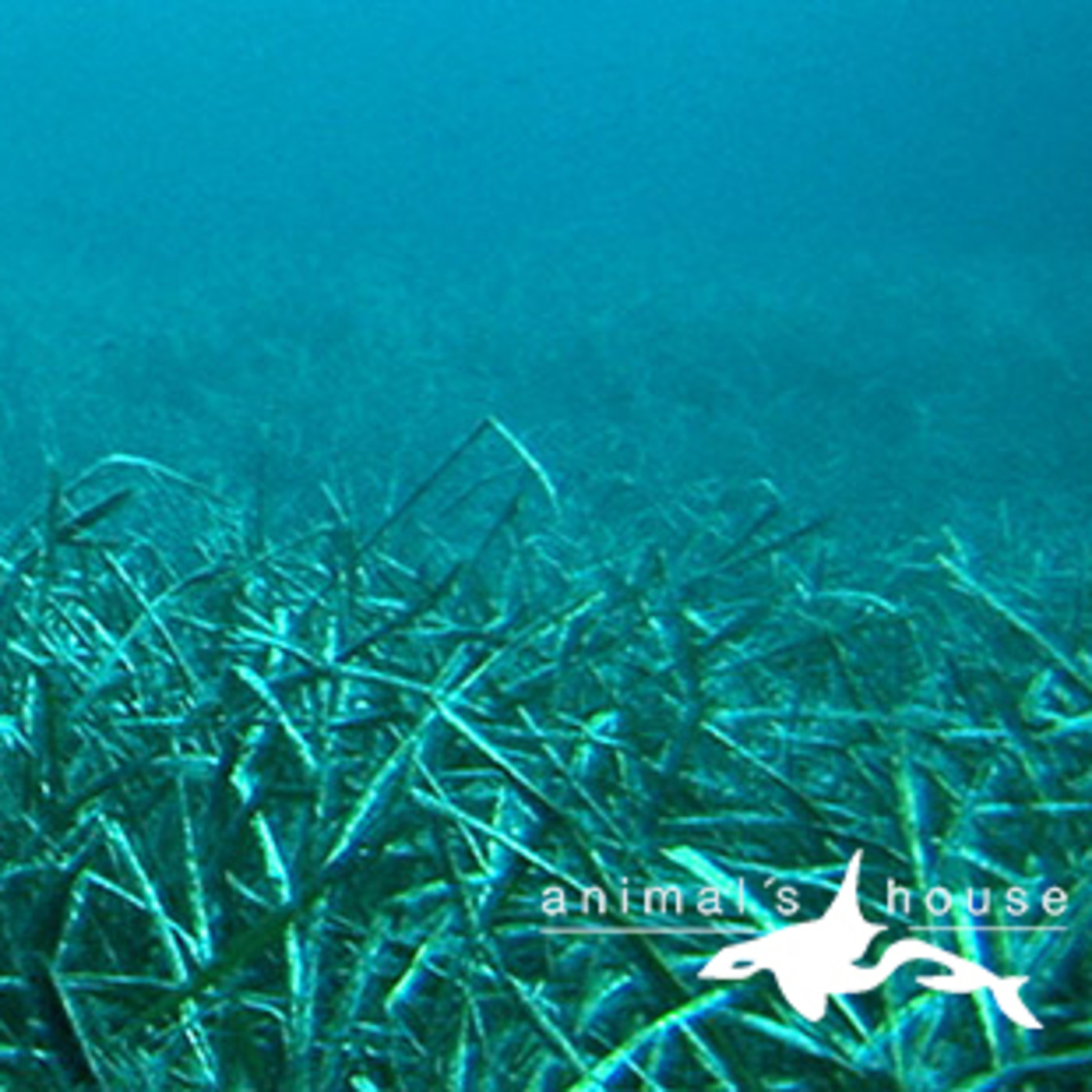 Al otro lado del espejo - Materia reservada