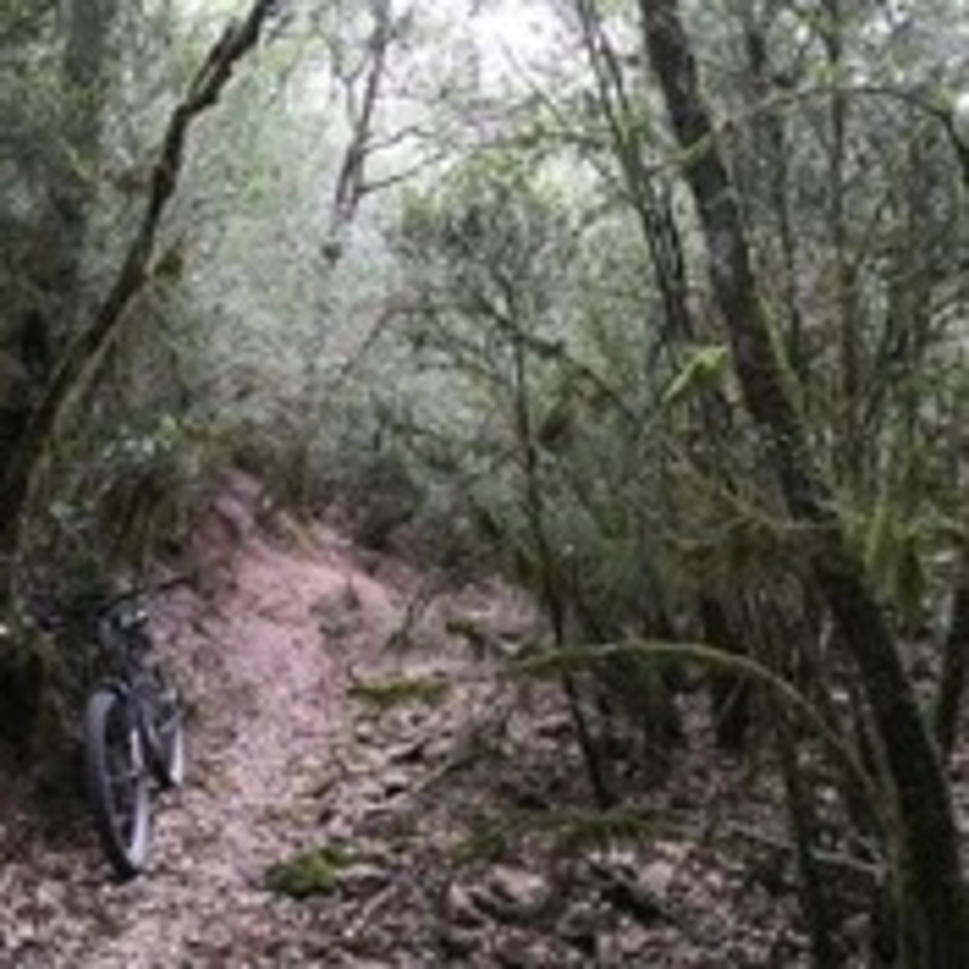 LasCasiRutas