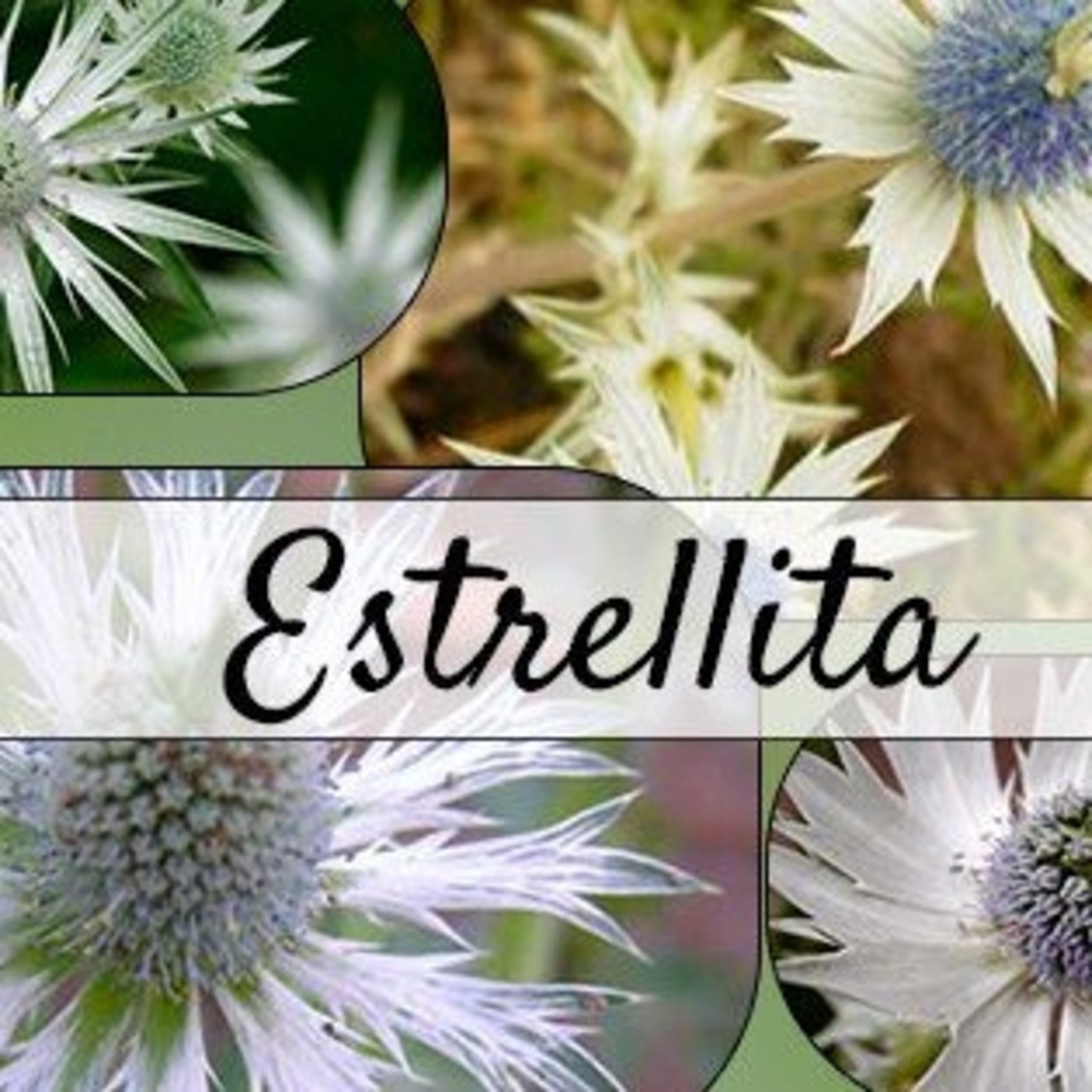 El Ángel de tu Salud - ESTRELLITA episode artwork