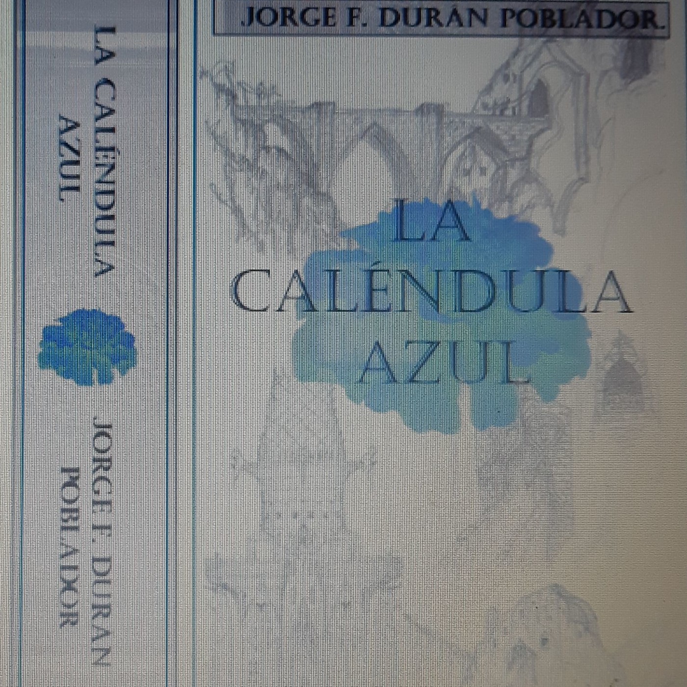 La Calendula Azul