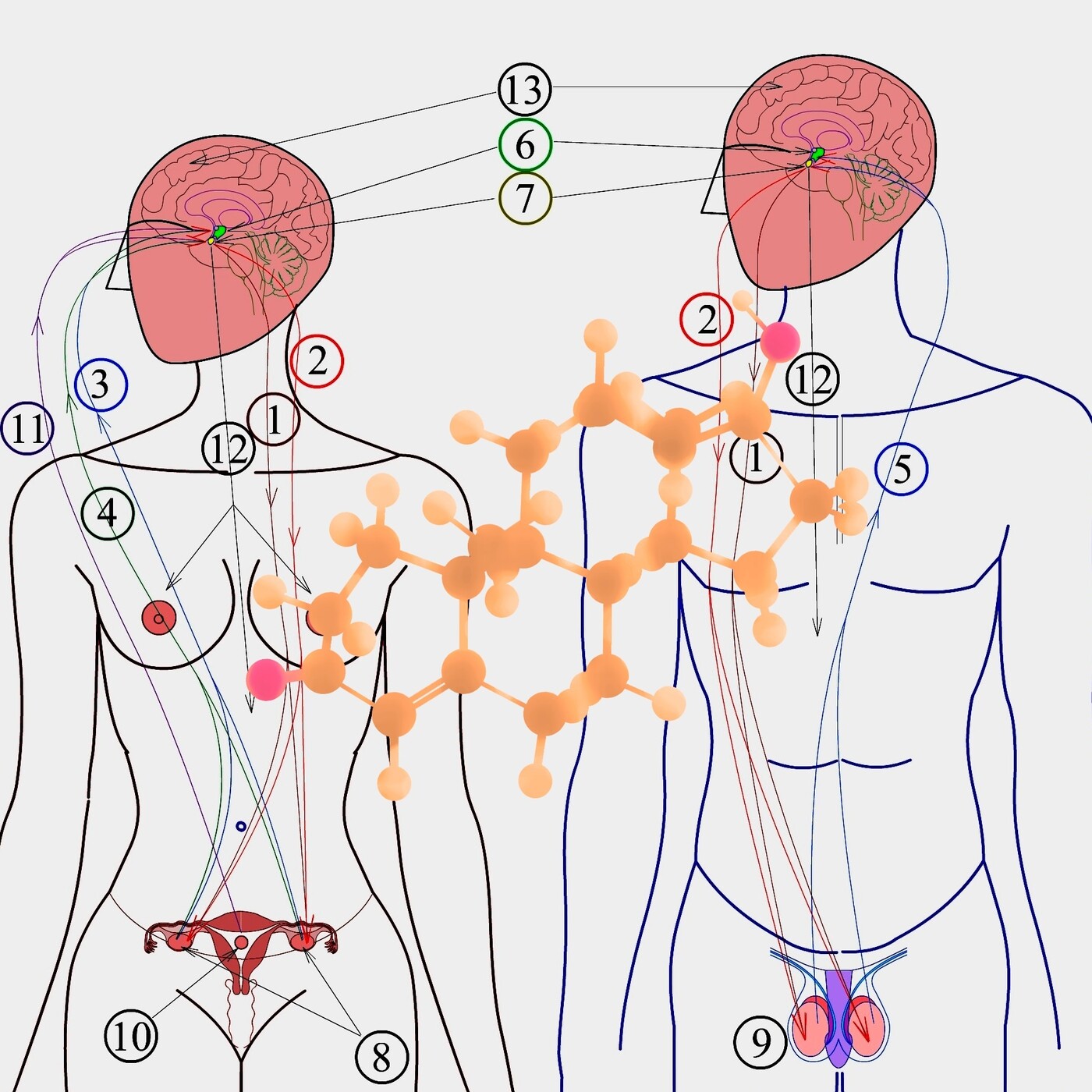1, 2, 3 por la Ciencia