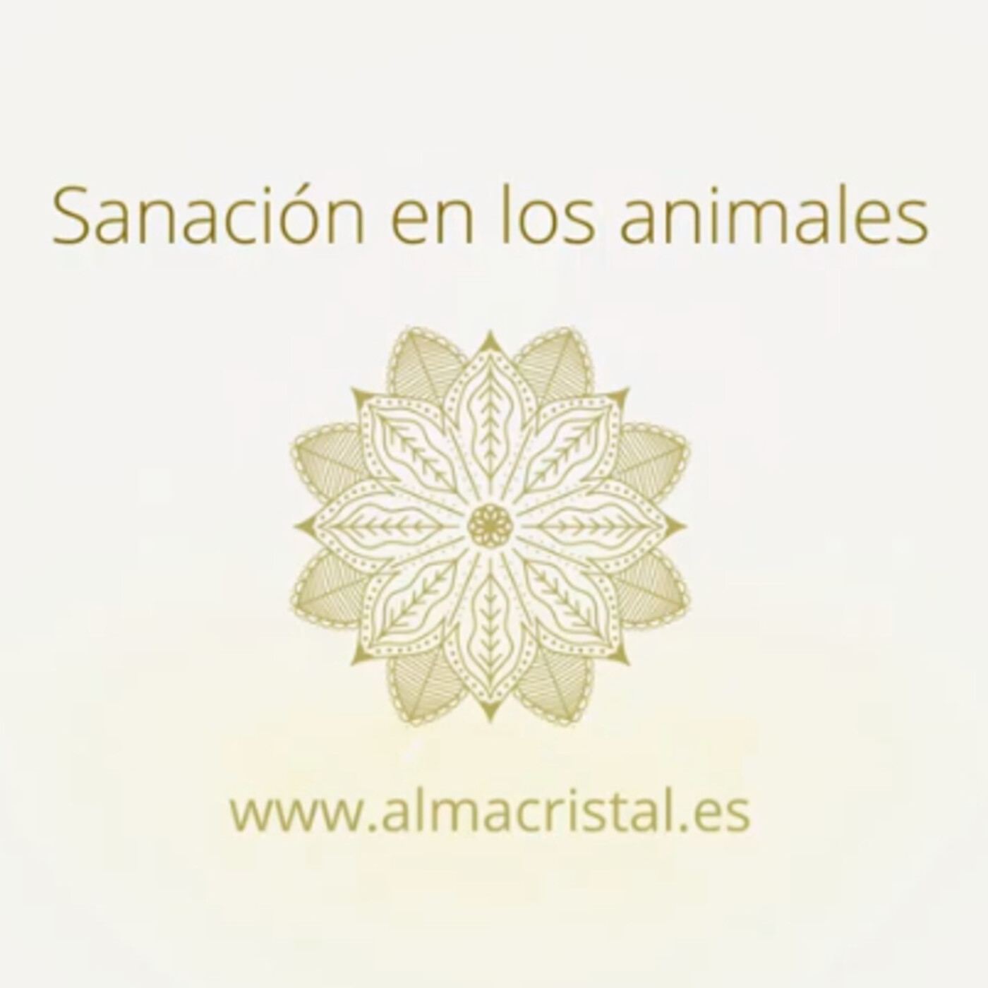 En transición al despertar