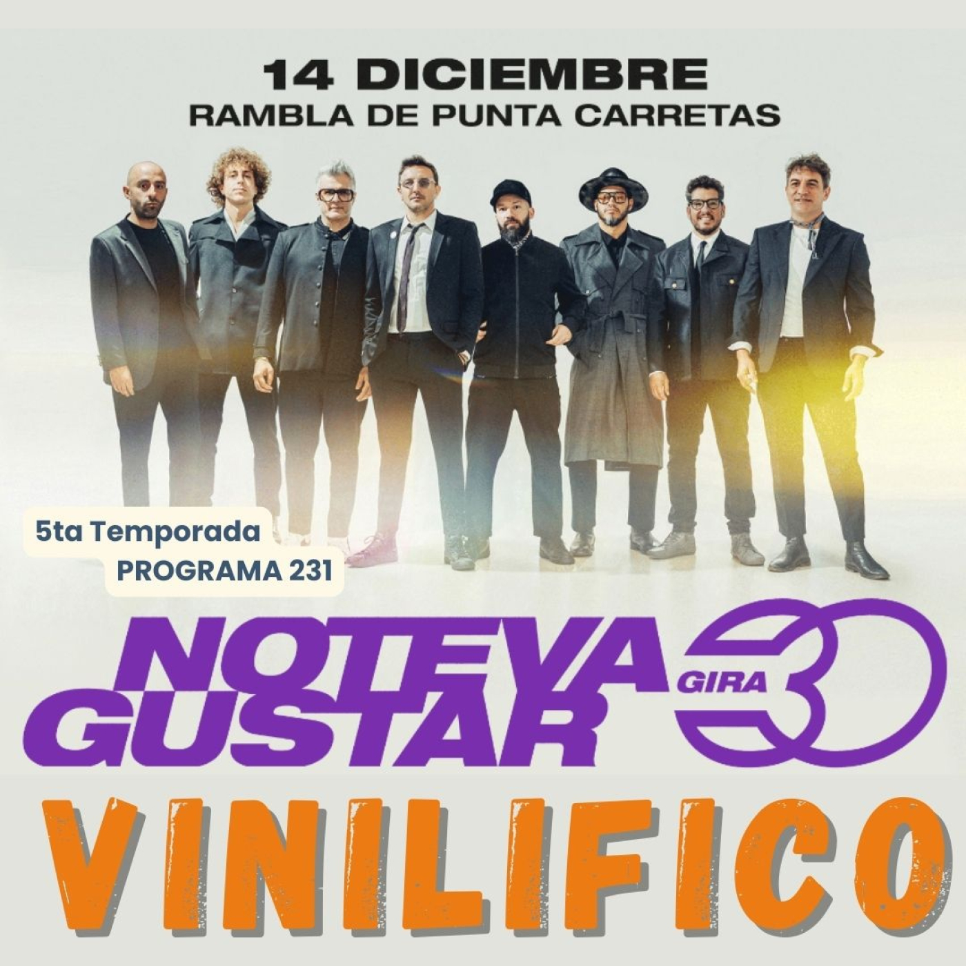 Vinilifico