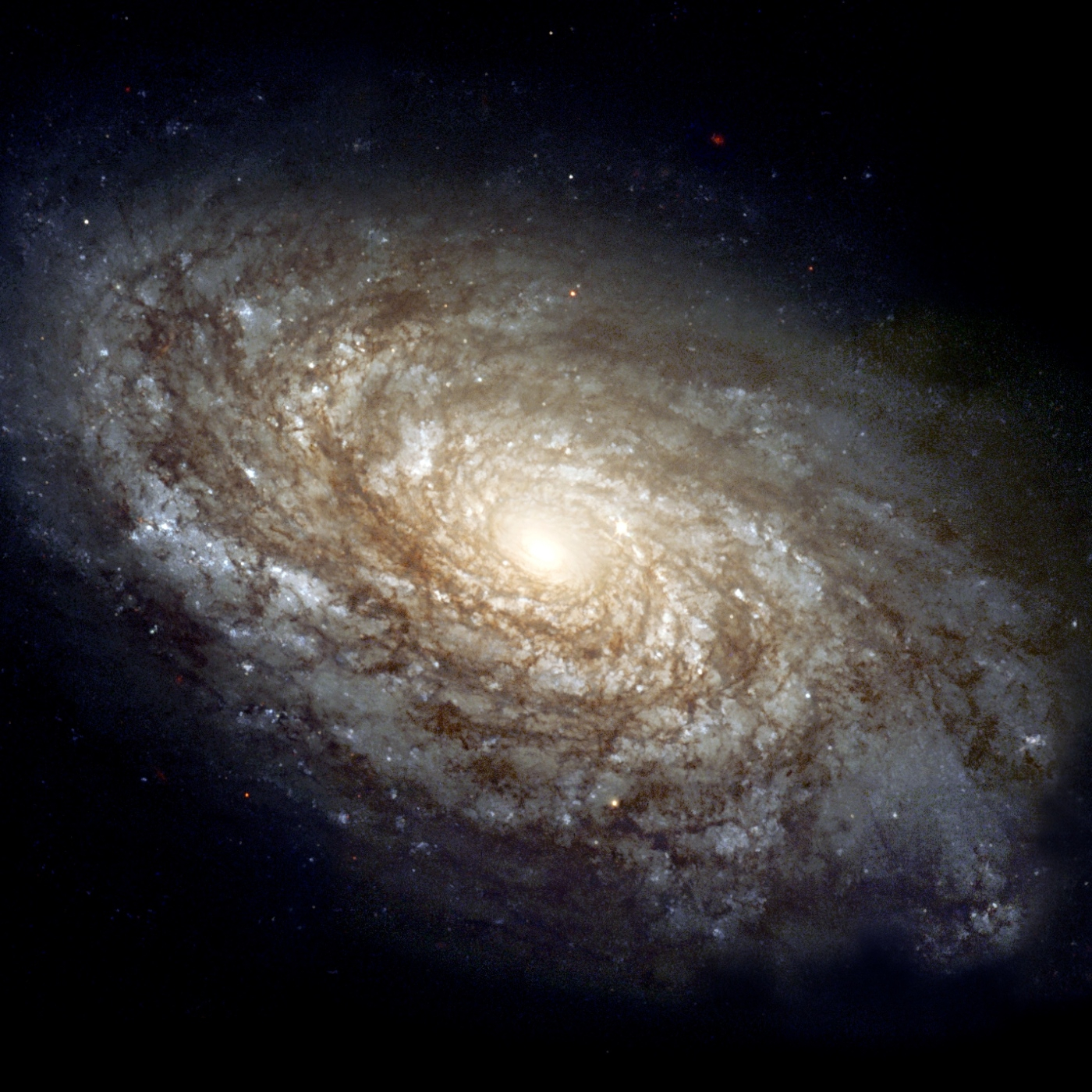 1154 - Las Galaxias - Episodio exclusivo para mecenas