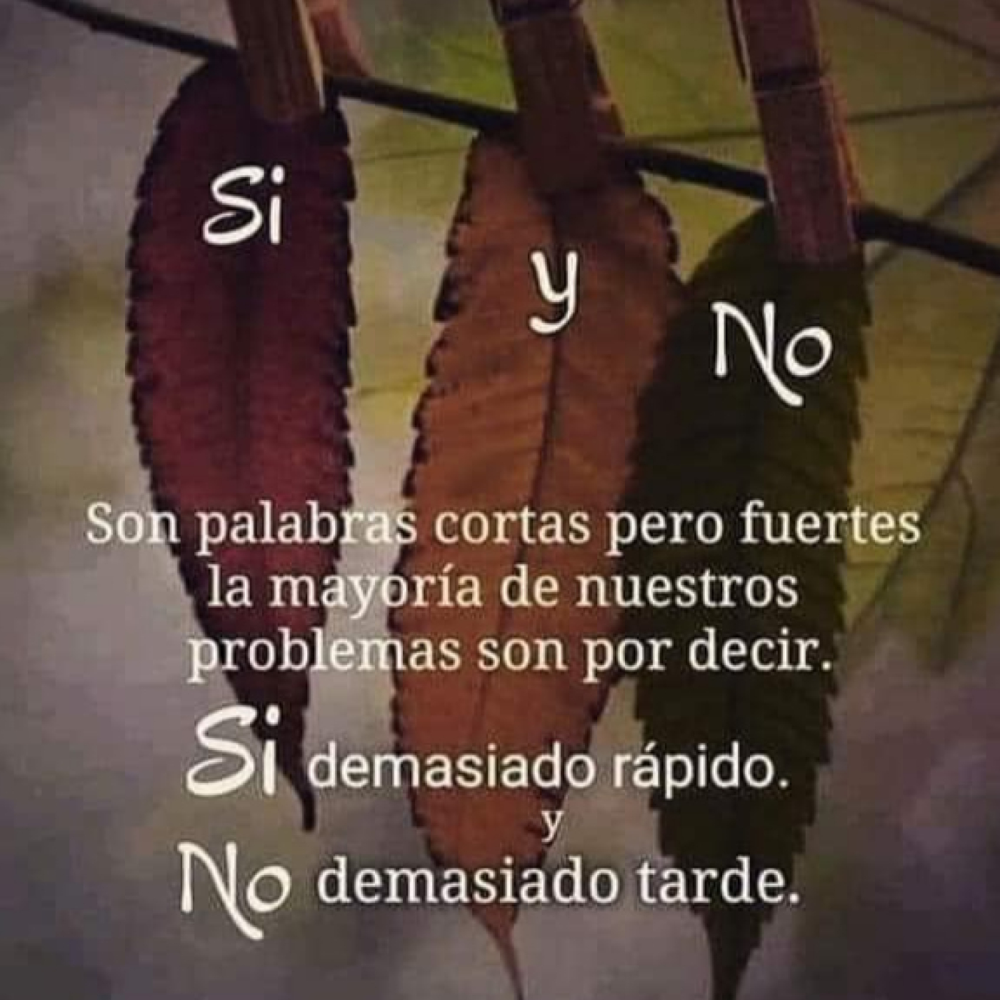 Eliza Cavazos (Lifecoaching)