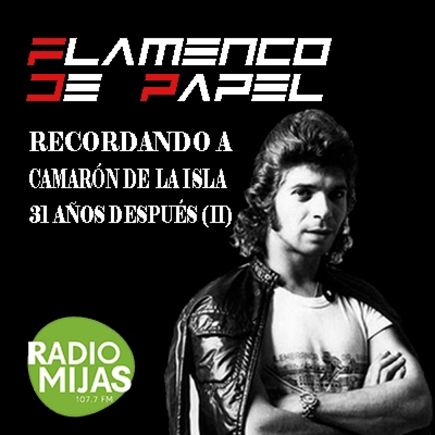 FLAMENCO DE PAPEL