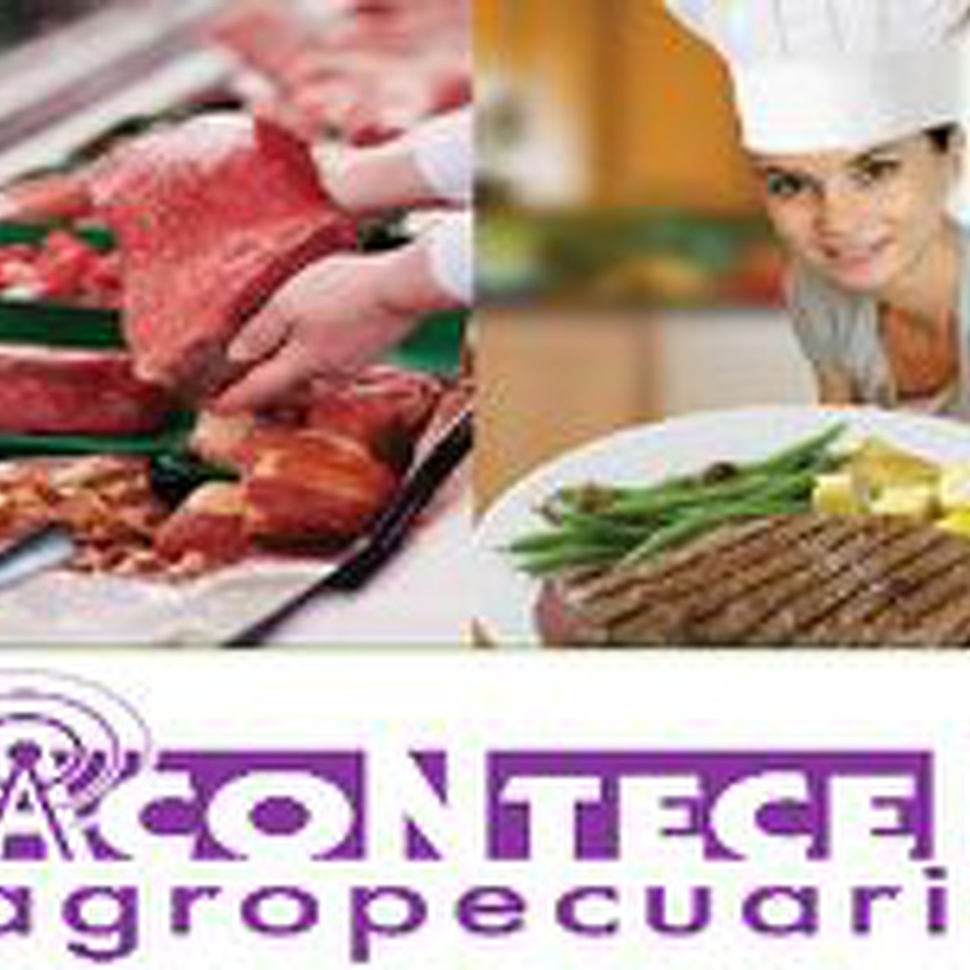 ACONTECER AGROPECUARIO