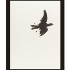 La Luz Impronunciable, Ernesto Kavi (2016)