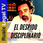 DESPIDO | Despido Disciplinario (Causas Requisitos)