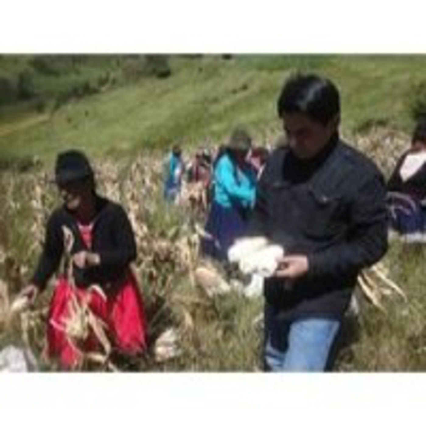 Sebastian Ramirez, Director del MAGAP Cañar episode artwork