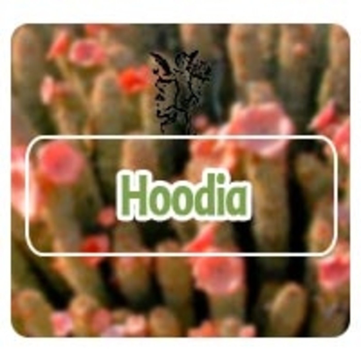 El Angel de tu Salud - HOODIA* episode artwork