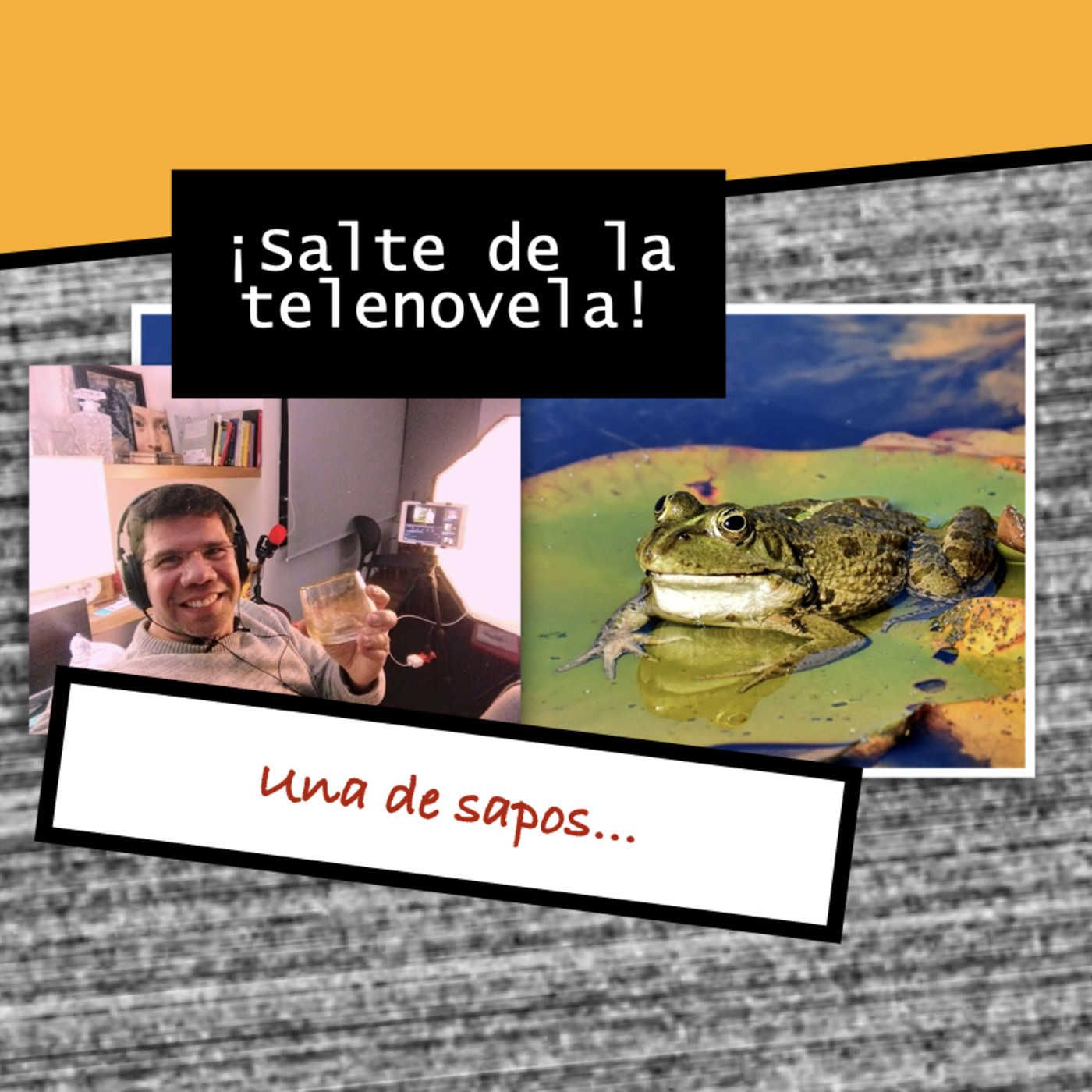 Salte de la telenovela