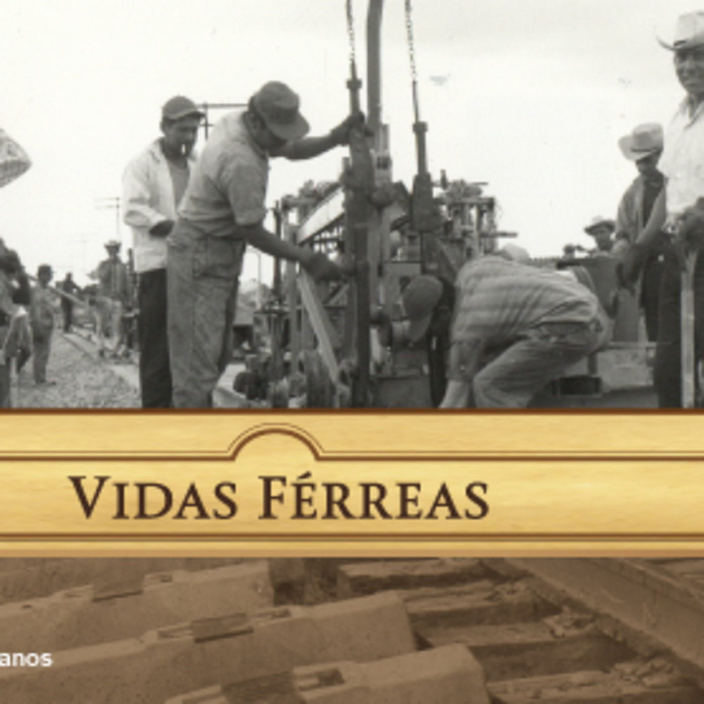Vidas férreas