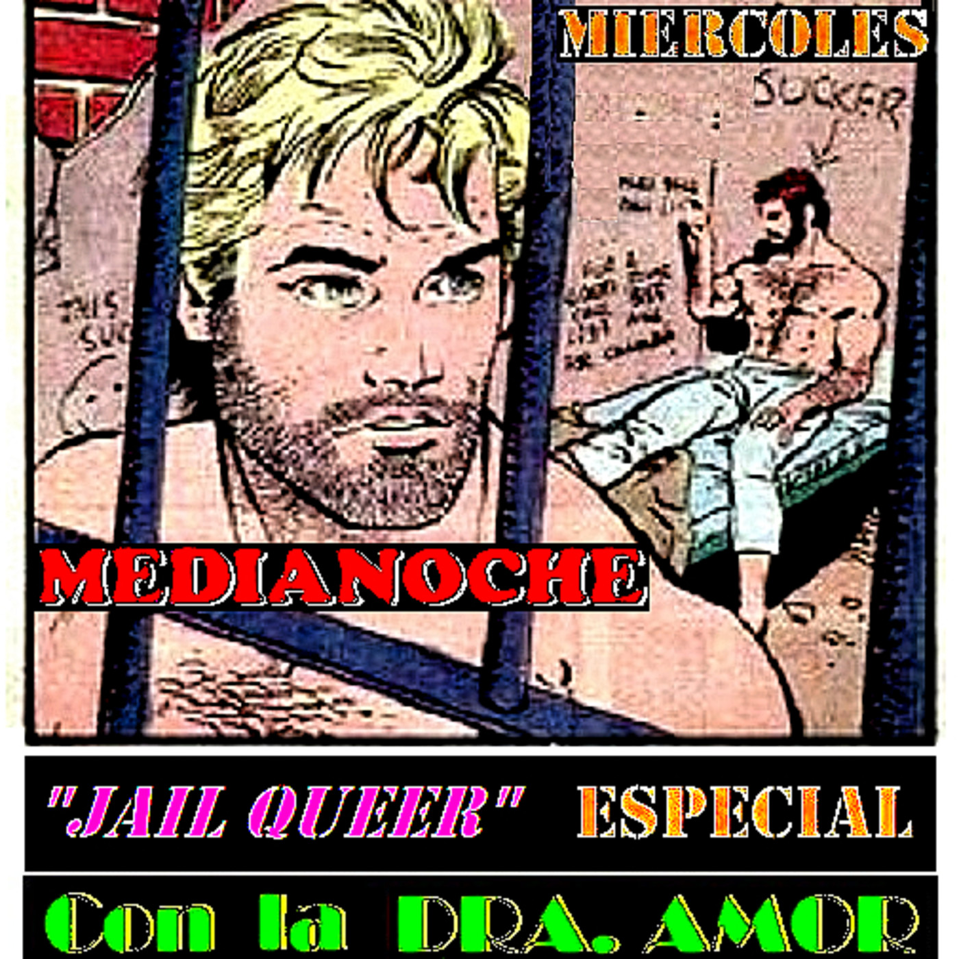 Trasnoche Queer Nro: 119 - 08-11-2017 - ESPECIAL 'JAIL QUEER' (SEXUALIDAD EN LA CÁRCEL)-'FALGBT' SOBRE 'PROTOCOLO LGBT' episode artwork
