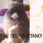 Promo ya te lo digo yo programa 10