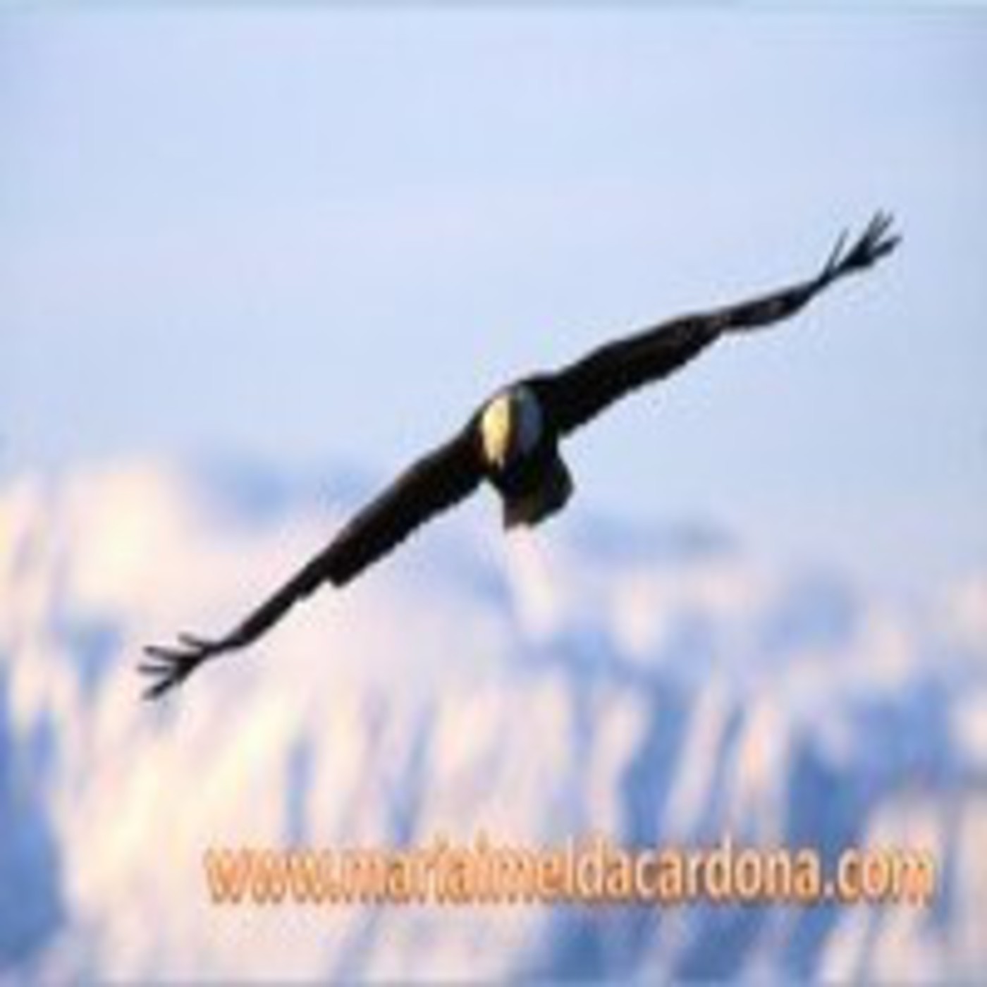 Podcast de Maria Imelda Cardona