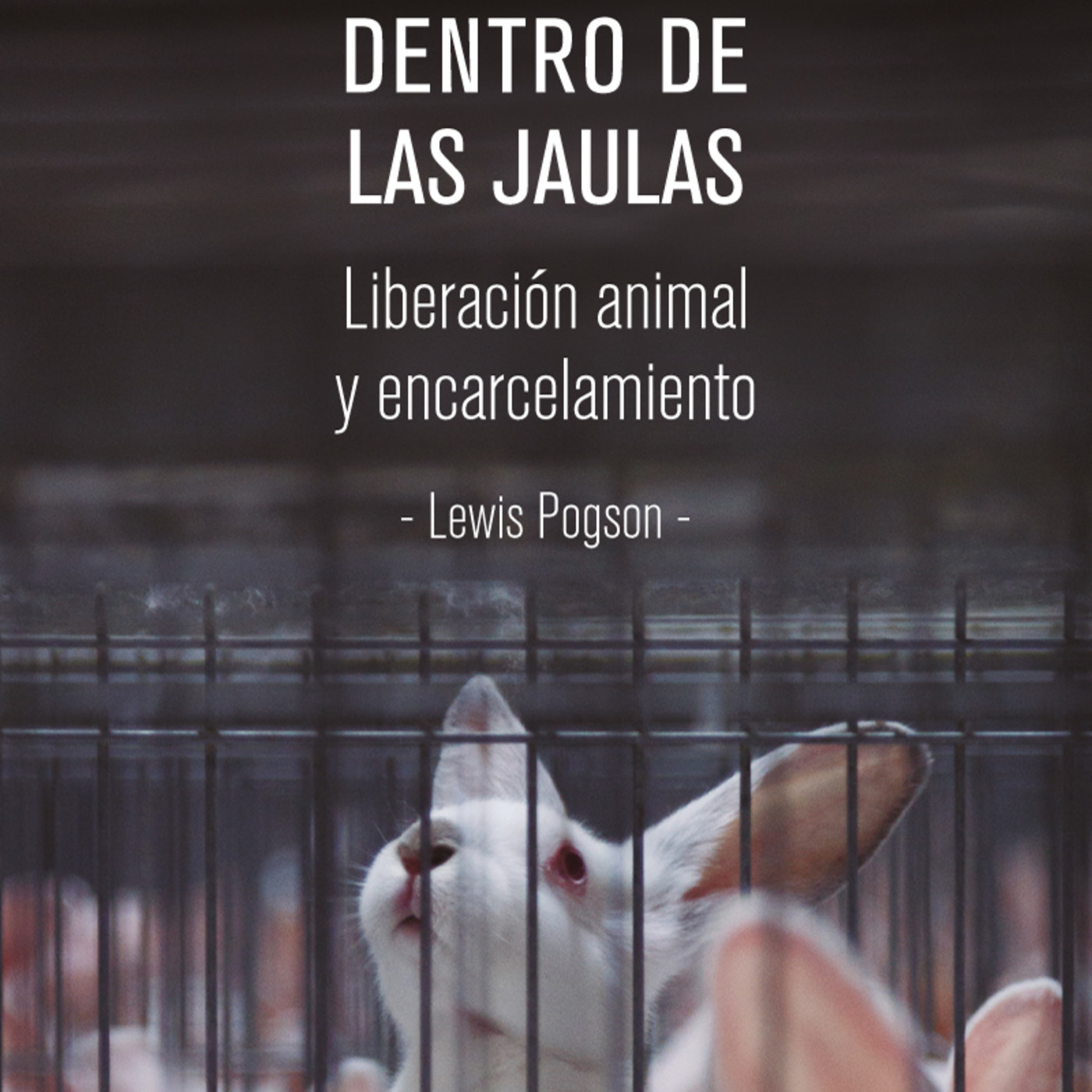 ochodoscuatro ediciones