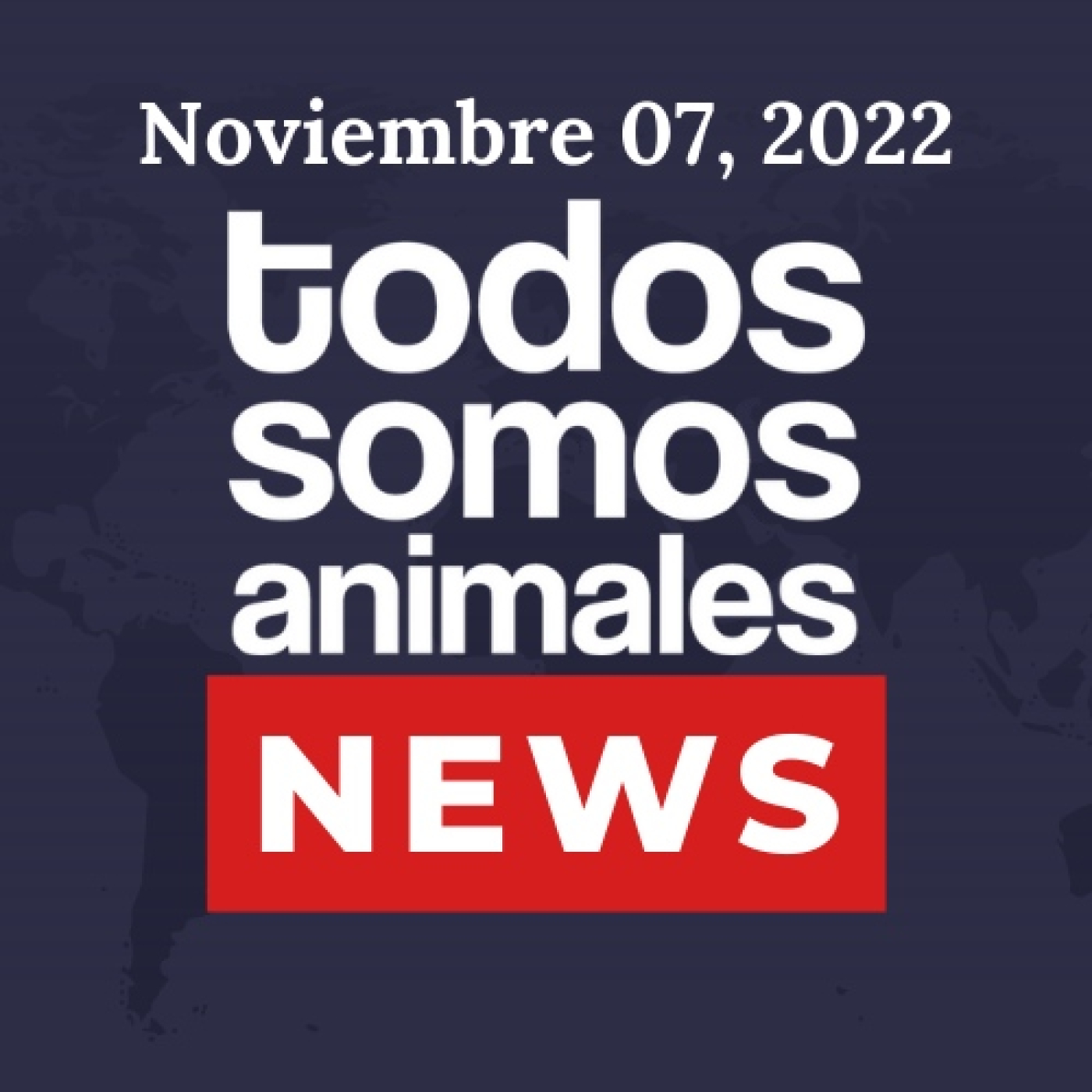Todos Somos Animales News