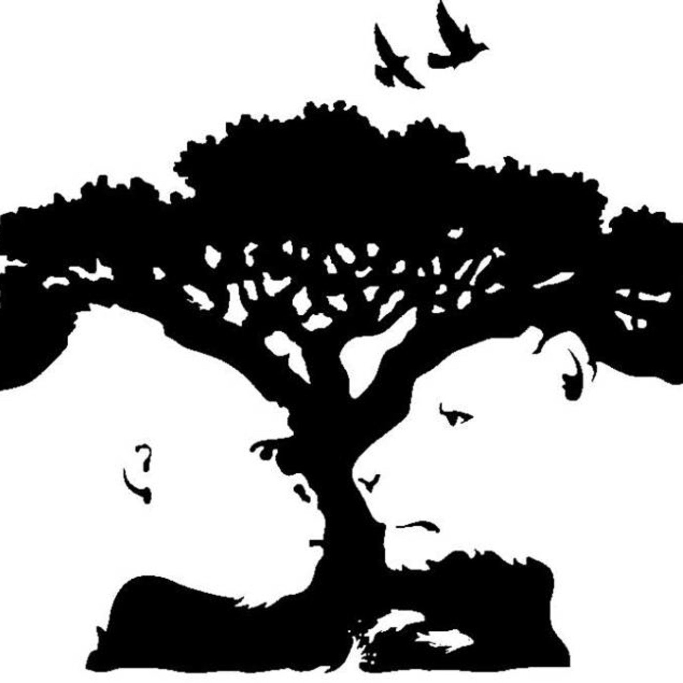 LA TELARAÑA PROGRAMAS ANTERIORES