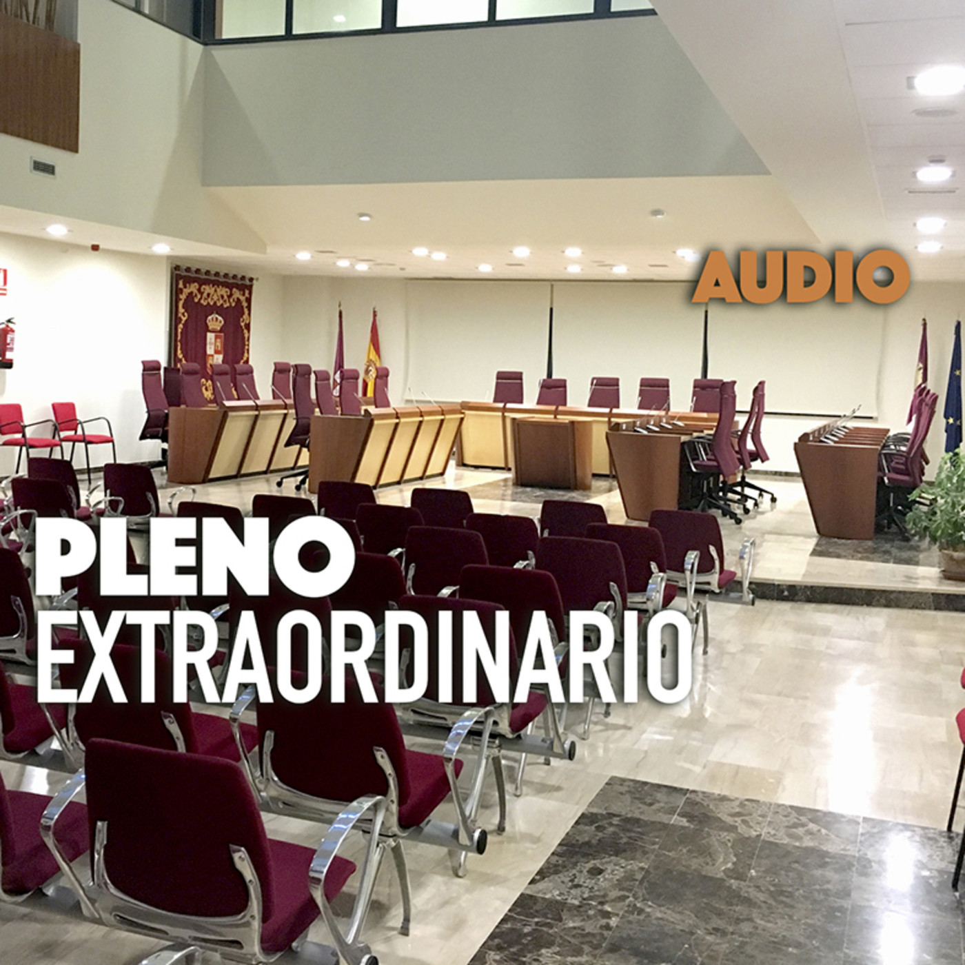 PLENOS DEL AYUNTAMIENTO DE ILLESCAS