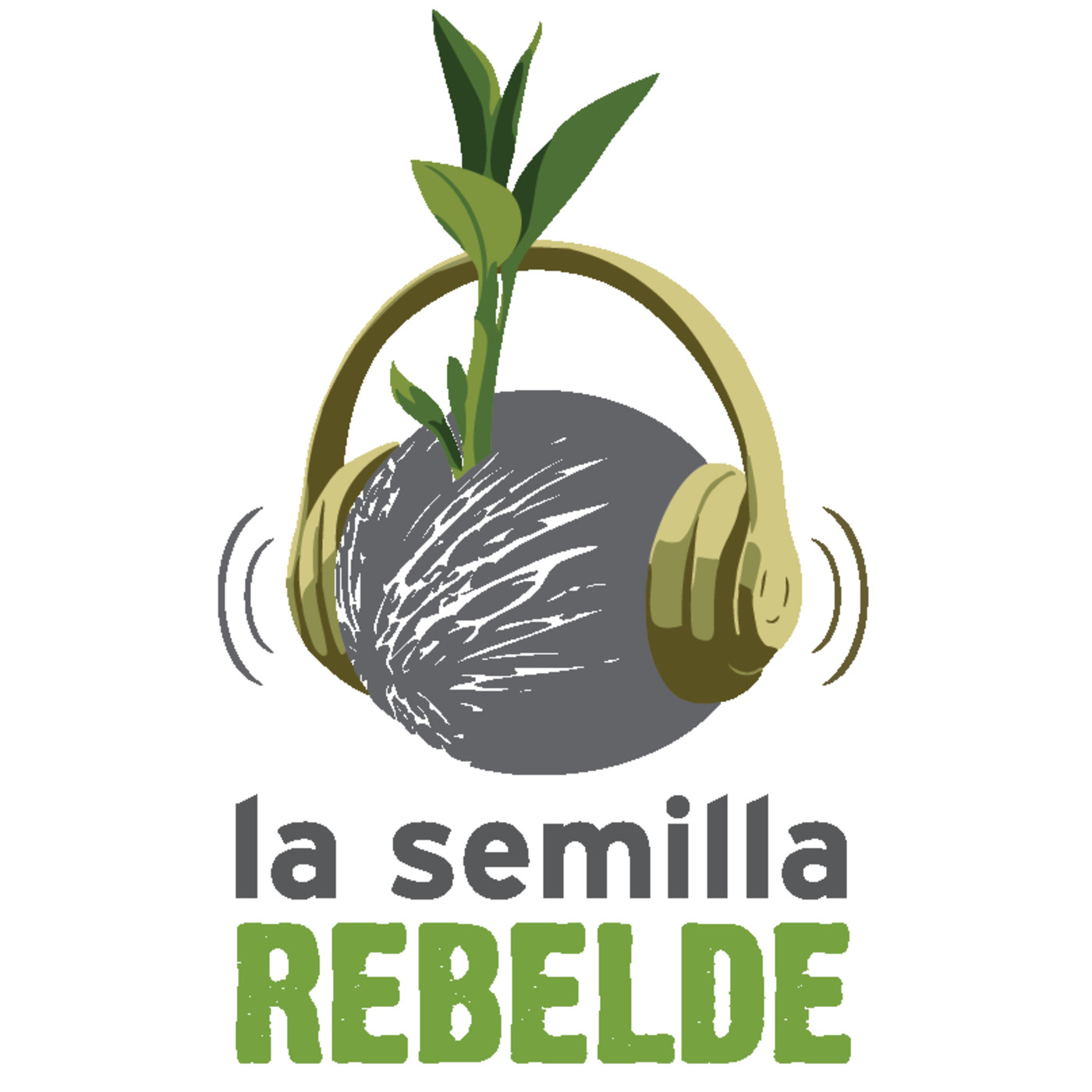 ¡#LaSemillaRebelde! 12.02.2018 #CapillaDelMonte #ConcienciaSolidaria episode artwork