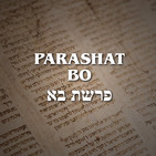 Parashat Bo - 2020