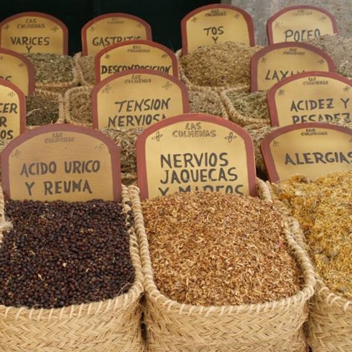 Plantas Medicinales de Mexico