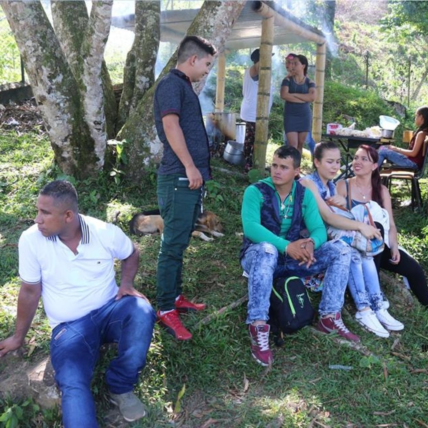 Cascada Comunicaciones