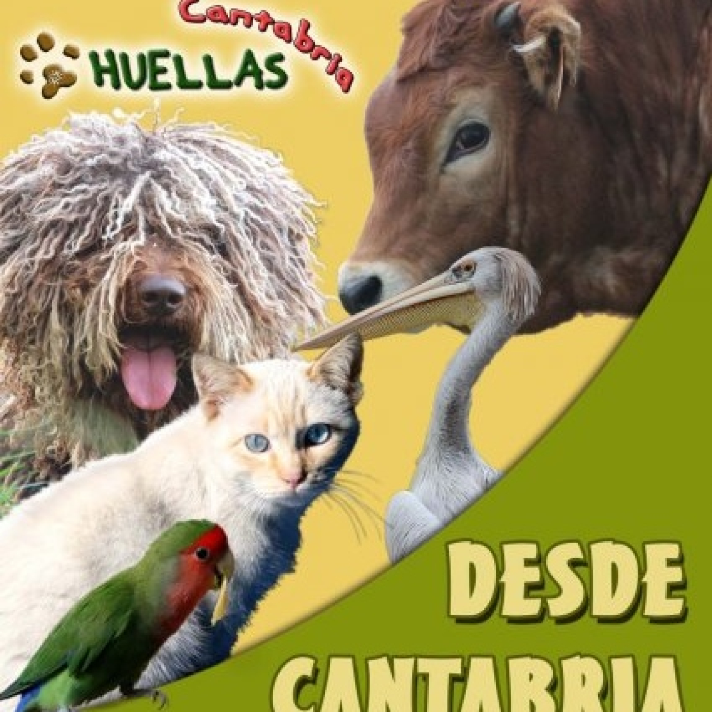 Huellas Cantabria, radio animalista , programa de la semana del Lunes 7 de octubre 2024. Con Mary Ocaña y Pedro Pozas. episode artwork