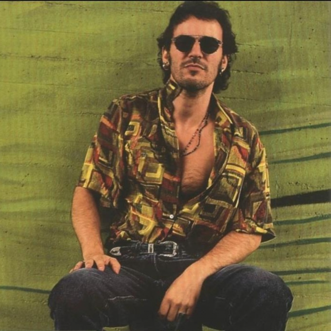 Els Fans de Bruce Springsteen