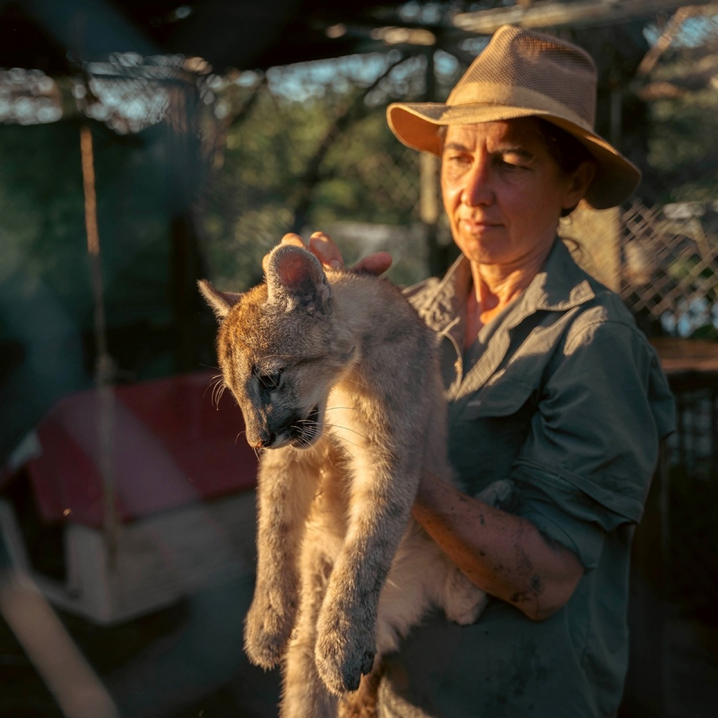 Kai Pacha (Presidente de Pumakawa Reserva de Animales) Nada Personal @animessina
