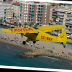 embed image