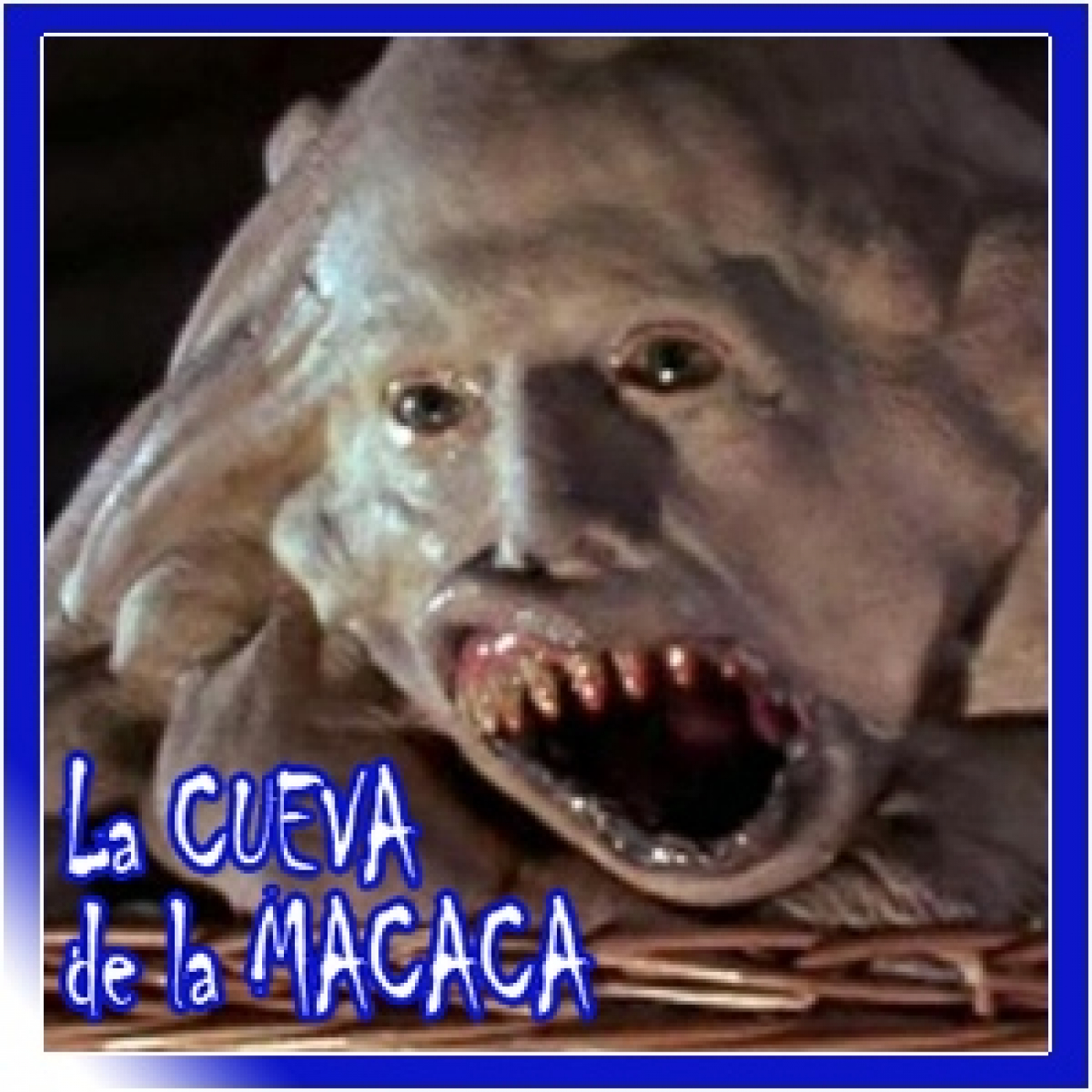 La Cueva de la Macaca