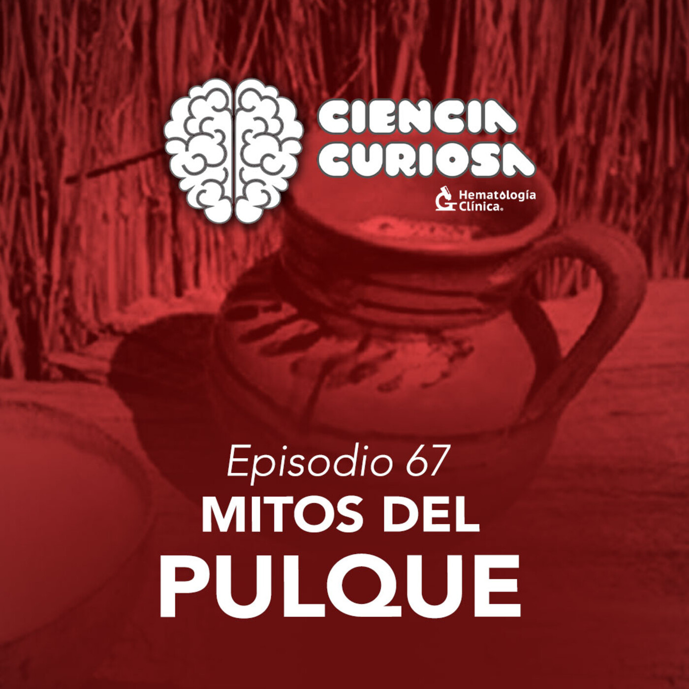 Ciencia Curiosa