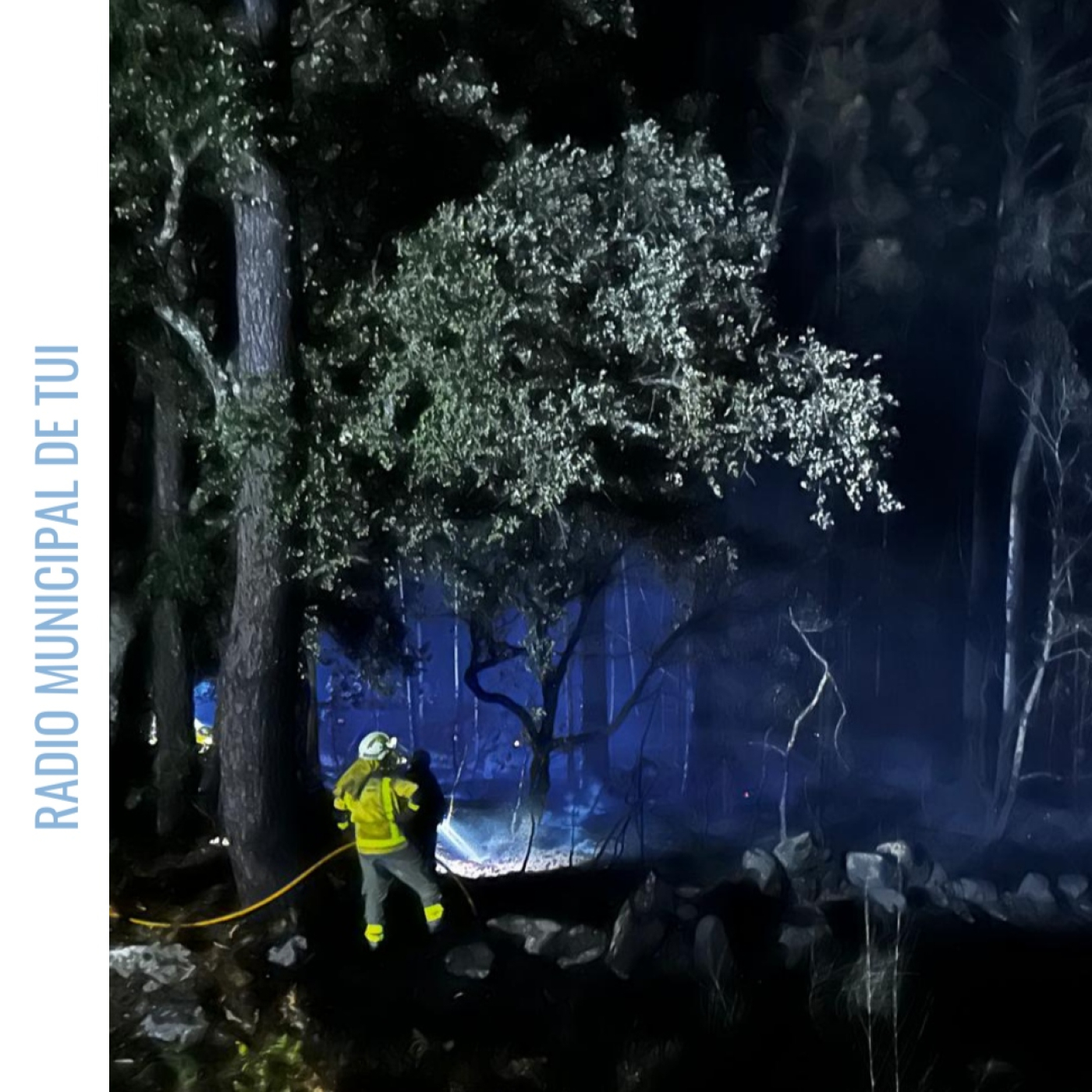 Ent. José Palacio, presidente da Mancomunidade de Montes do Baixo Miño | Prevención de Incendios Forestais episode artwork