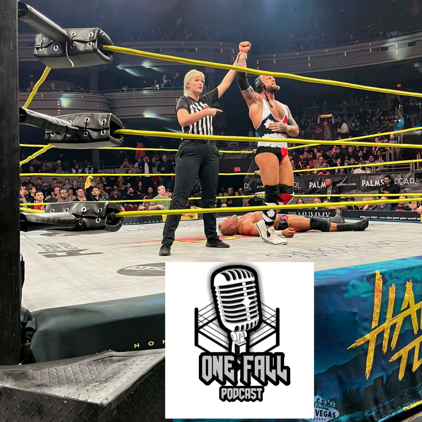 One Fall Podcast # 182 - La primera del año con TNA Hard to Kill episode artwork