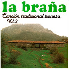 Hermosa y blanca paloma
