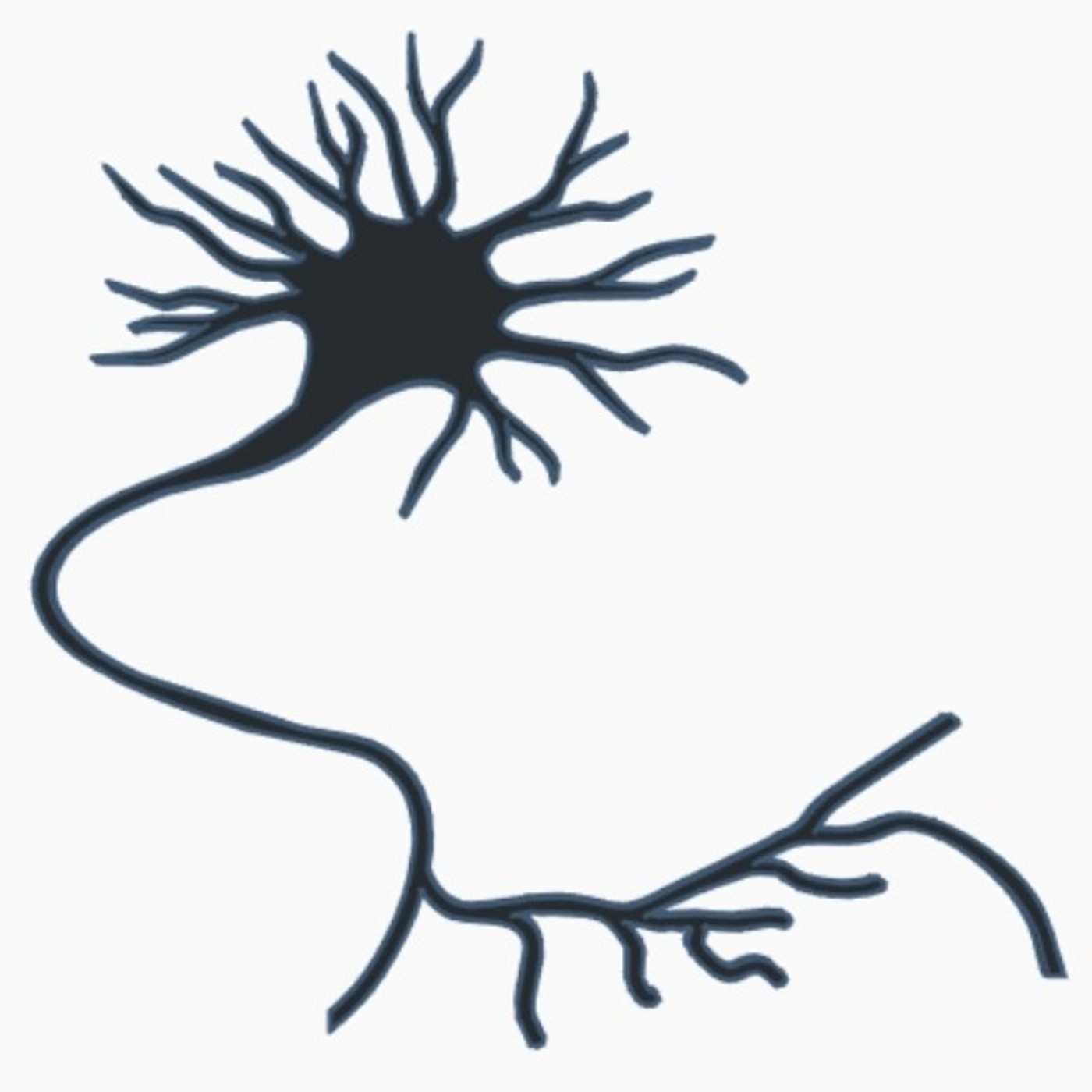 Háblame de tu experiencia