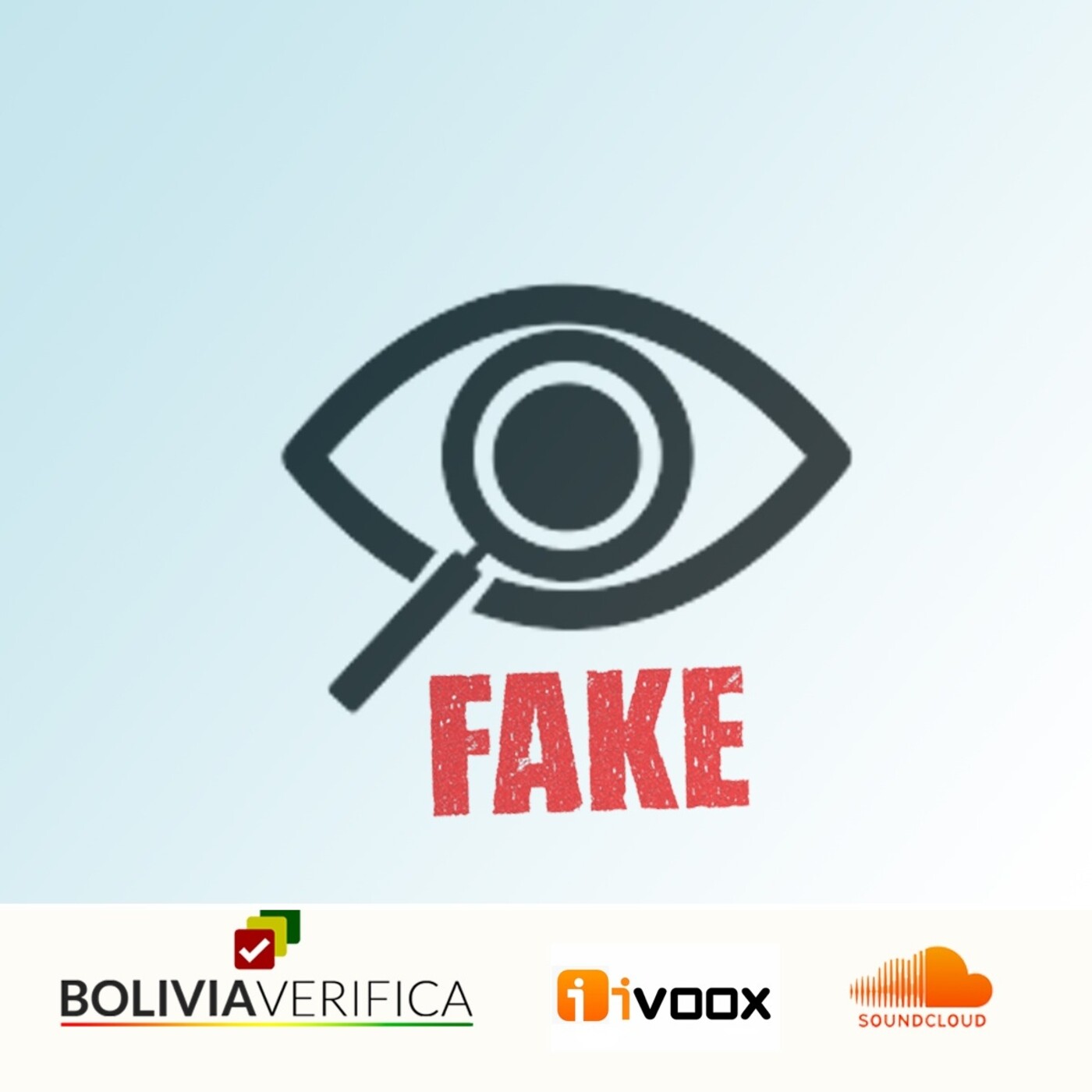 Bolivia Verifica