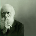 36 - Darwin y la evolución