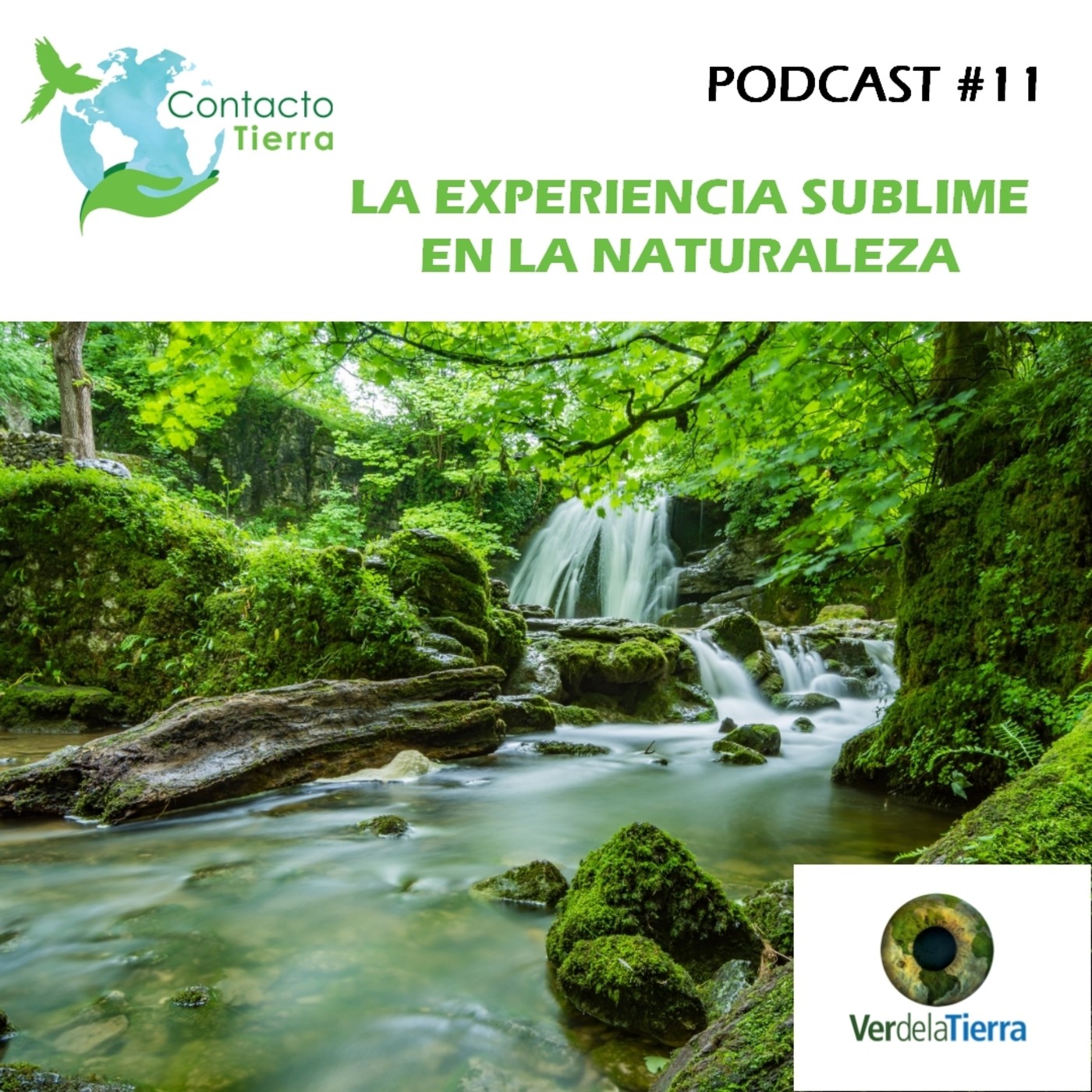 Contacto Tierra Radio USB