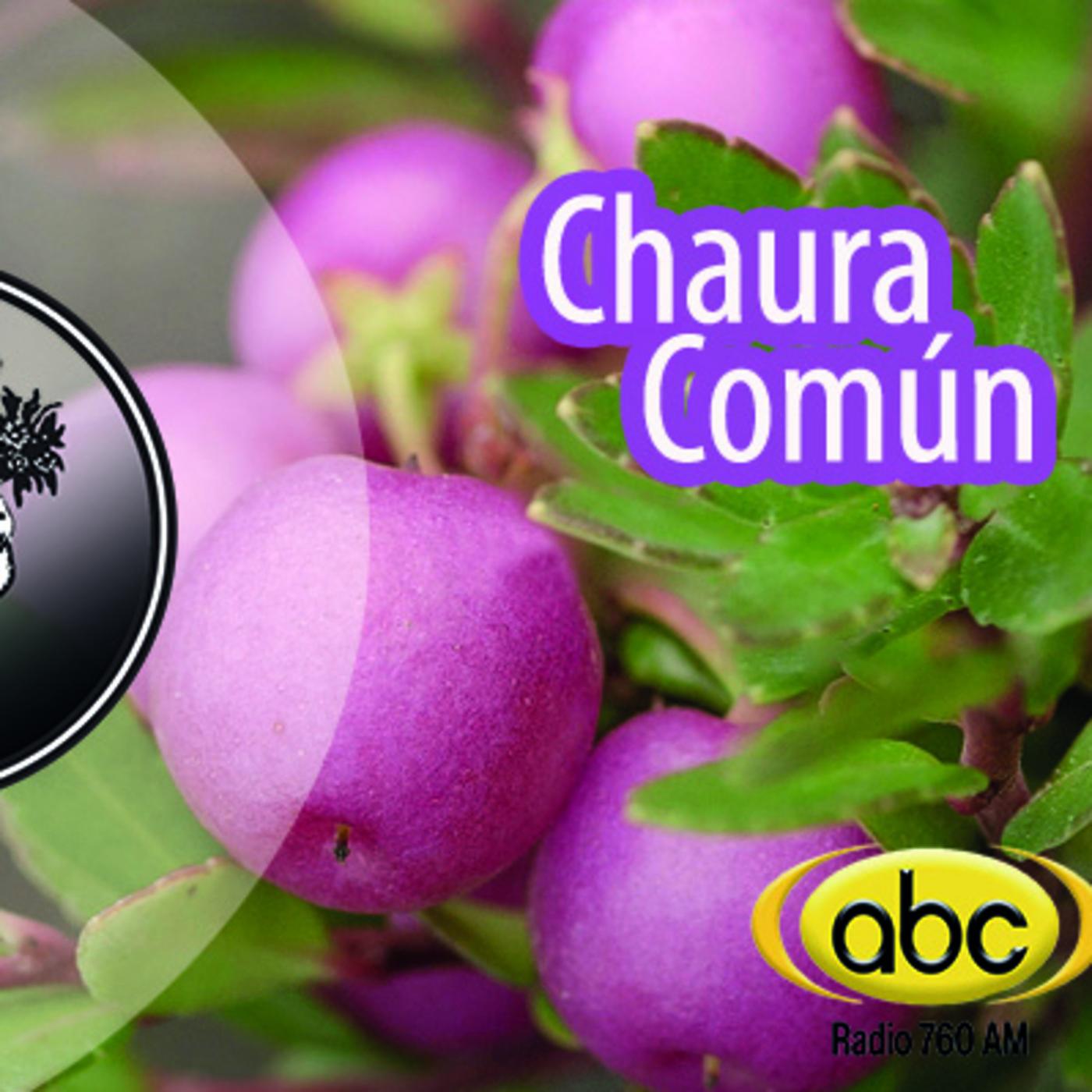 El Angel de tu Salud - CHAURA COMÚN episode artwork