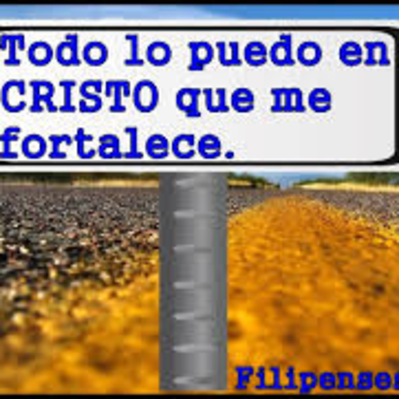 ofir urrea
