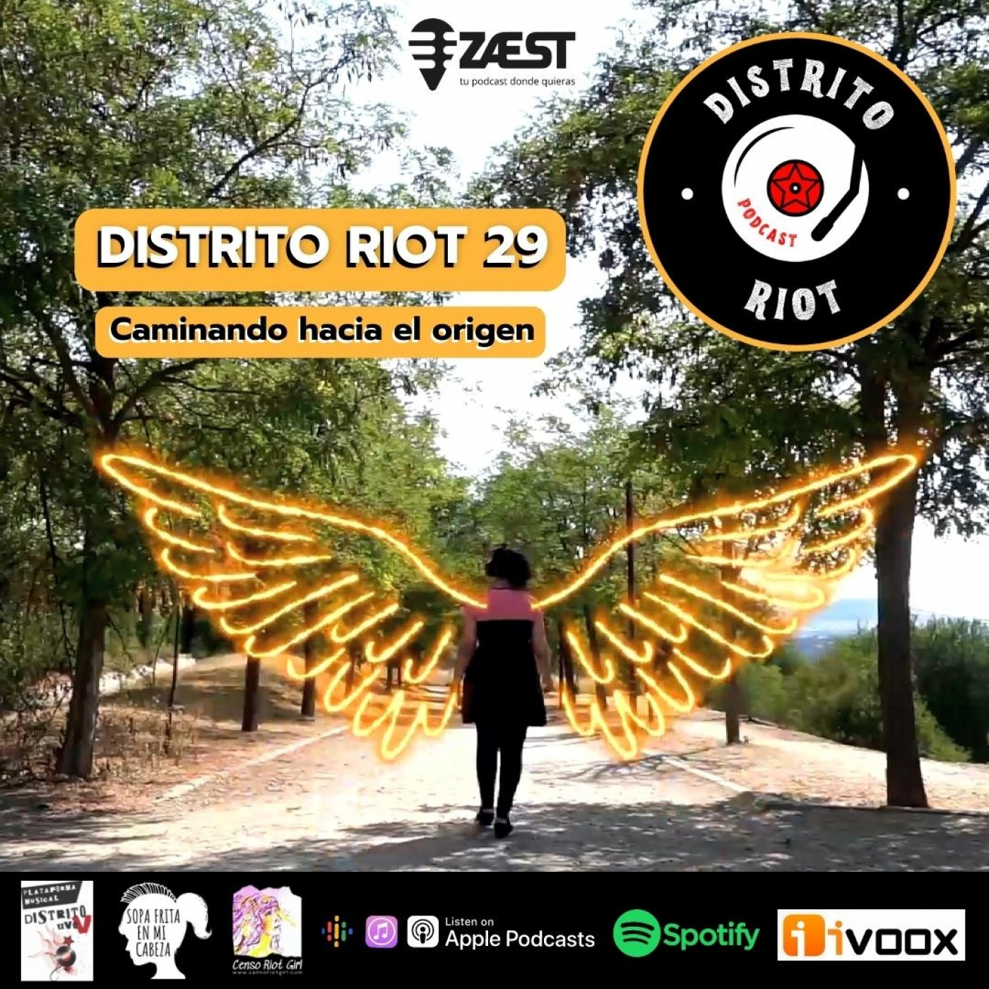Distrito Riot