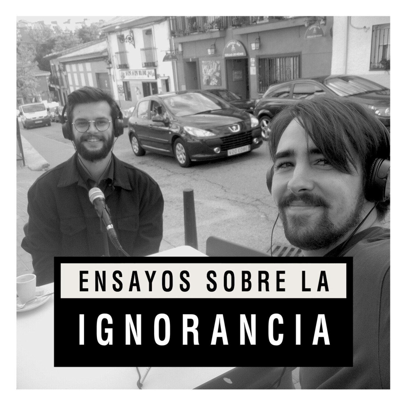 Ensayos sobre la ignorancia