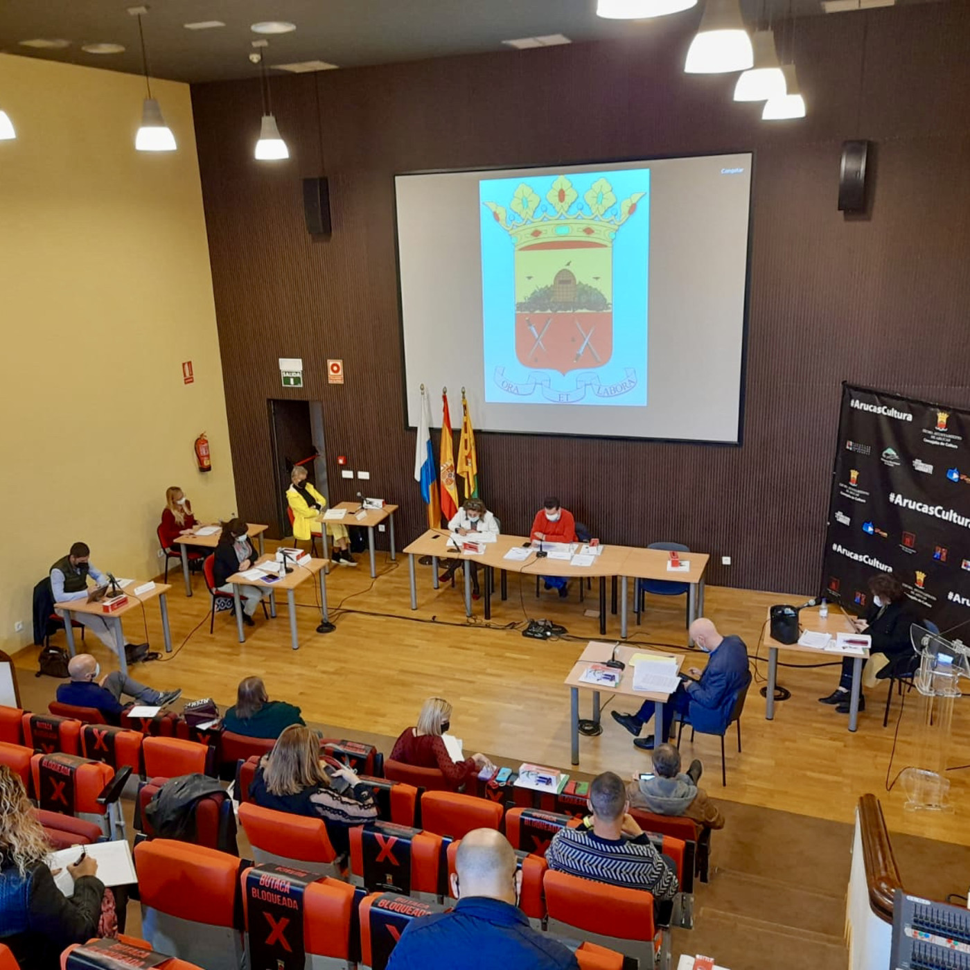 Pleno ordinario. 29 de enero de 2021 episode artwork